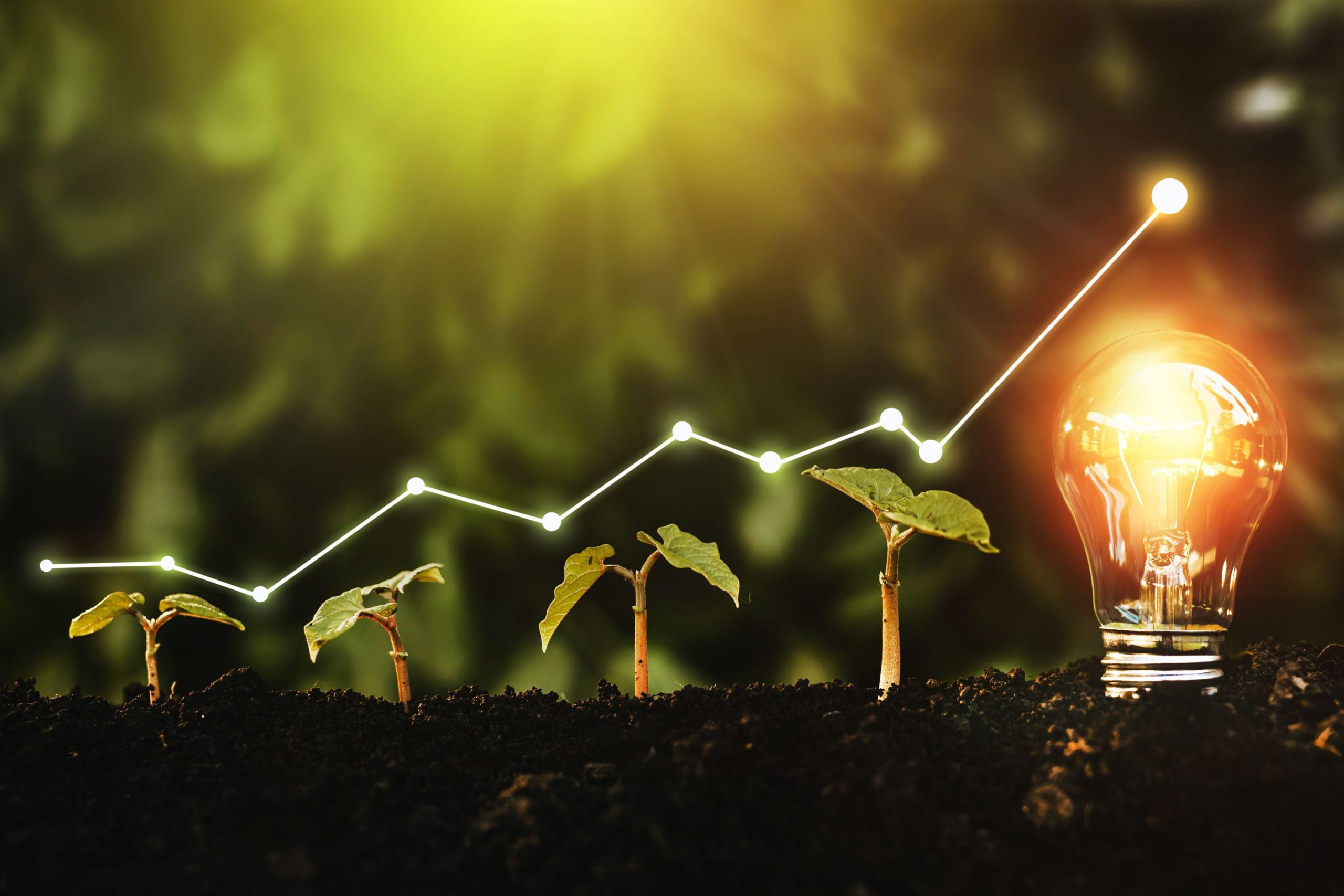 Młode rośliny wyrastają z ziemi w rządku, na końcu świecąca żarówka
