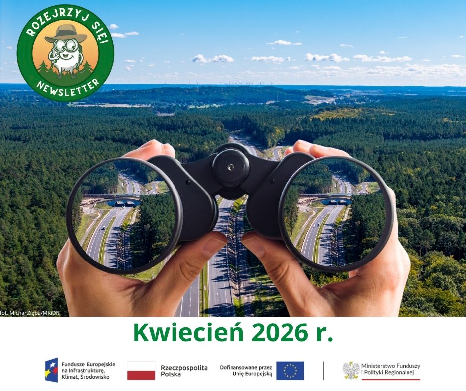 Zdjęcie tytułowe do newslettera widok na trasę S3 i ręce trzymające lornetkę w której jest przybliżenie na drogę. Napis pod grafiką kwiecień 2026 r i ciąg znaków